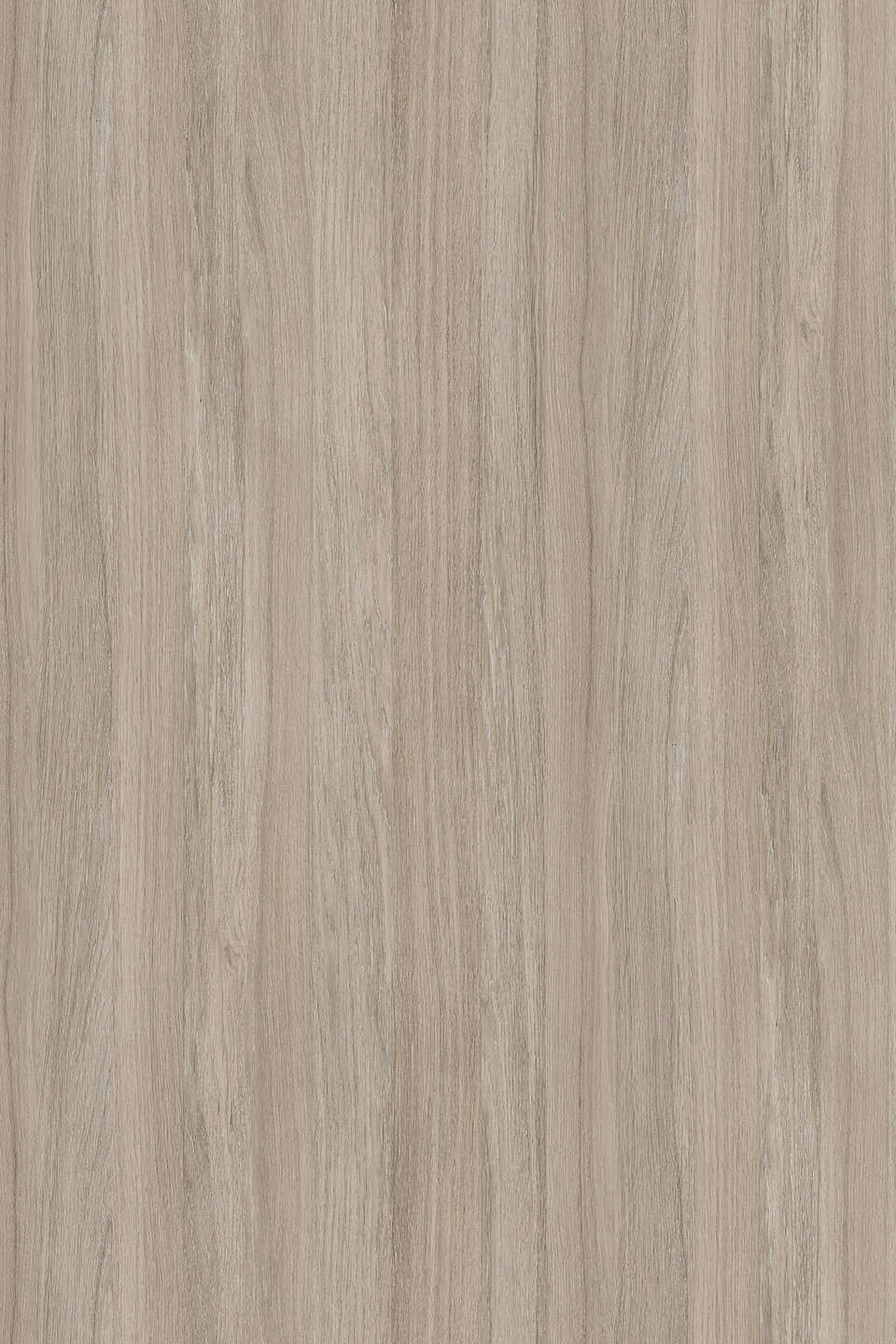 KRONOSPAN K005 — Dąb Urban Oyster