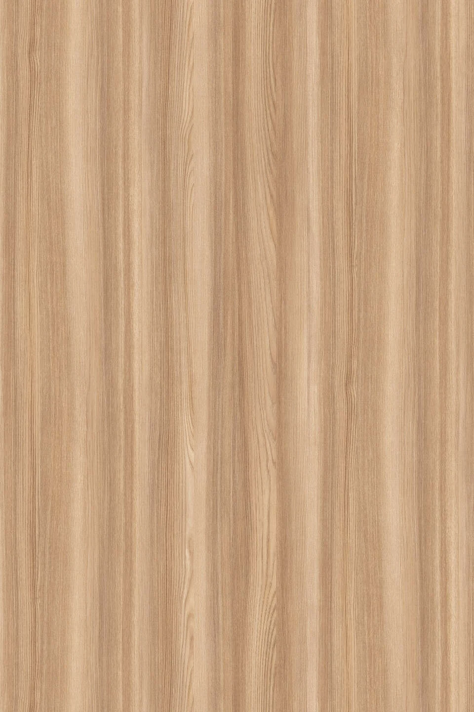 KRONOSPAN K525 — Jesion Surfside Jasny