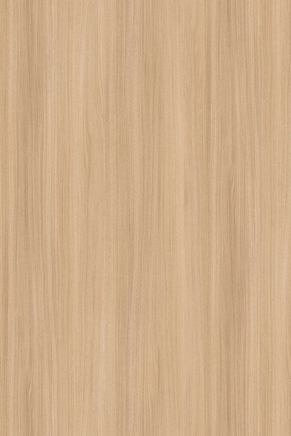 KRONOSPAN K543 — Dąb Barbera Piaskowy